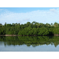 รูปถ่าย ฟิจิ(Fiji) 2010-05 19