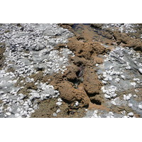 รูปถ่าย ฝรั่งเศส(France) ปอร์นิค(Pornic) หาดกร็องด์วาเล(grandes vallees Beach) 2008-07 11