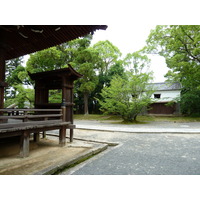 รูปถ่าย ญี่ปุ่น(Japan) เกียวโต(Kyoto) วัดนินนะจิ(Ninna ji Temple) 2010-06 46