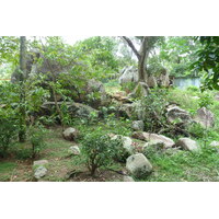 รูปถ่าย เซเชลส์(Seychelles) เกาะลาดีก(La Digue) 2011-10 253