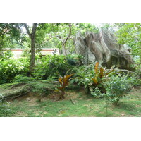 รูปถ่าย เซเชลส์(Seychelles) เกาะลาดีก(La Digue) 2011-10 233
