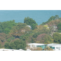 รูปถ่าย ไทย(Thailand) พัทยา(Pattaya) วิวทะเล 3(View Talay 3) 2011-01 32