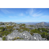 รูปถ่าย แอฟริกาใต้(South Africa) เคปทาวน์(Cape Town) ภูเขาเทเบิล(Table Mountain) 2008-09 40