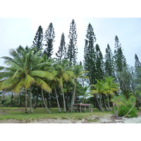 รูปถ่าย นิวแคลิโดเนีย(New Caledonia) เกาะต้นสน(Ile des pins) หาดคูโต(Kuto Beach) 2010-05 15