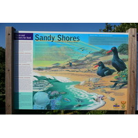 รูปถ่าย แอฟริกาใต้(South Africa) เฮอร์มานัส(Harmanus) 2008-09 18