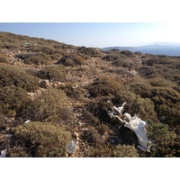 รูปถ่าย กรีก(Greece) เกาะคูโฟนิสเซีย(Koufonissia) 2014-07 569