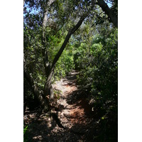 รูปถ่าย ฝรั่งเศส(France) เกาะปอร์เกอรอล(Porquerolles Island) แหลมเลอแก็ง(Pointe du Lequin) 2008-05 28