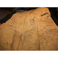 รูปถ่าย ฝรั่งเศส(France) ปารีส(Paris) กร็องปาเล(Grand Palais) 2012-01 20