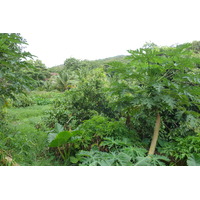 รูปถ่าย เซเชลส์(Seychelles) เกาะลาดีก(La Digue) 2011-10 62