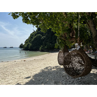 รูปถ่าย ไทย(Thailand) เกาะพีพีดอน(Ko Phi Phi Don) 2021-12 63