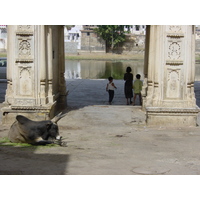 รูปถ่าย อินเดีย(India) อูไดปูร์(Udaipur) 2003-05 143