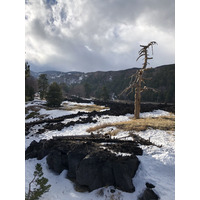 รูปถ่าย อิตาลี(Italy) ซิซิลี(Sicily) ภูเขาไฟเอตนา(Etna) 2020-02 11