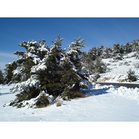 รูปถ่าย ฝรั่งเศส(France) เกรโอลีแยร(Greolieres les neiges) 2007-01 20