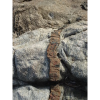 รูปถ่าย ฝรั่งเศส(France) คอร์สิคา(Corsica) ลูมิโอ่(Lumio) 2006-09 31