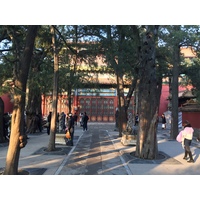 รูปถ่าย จีน(China) ปักกิ่ง(Beijing) พระราชวังต้องห้าม(Forbidden City) 2015-12 150