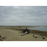 รูปถ่าย ไทย(Thailand) เขาหลัก(Khao Lak) 2005-12 39