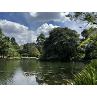 รูปถ่าย สิงคโปร์(Singapore) สวนพฤกษศาสตร์สิงคโปร์(Singapore Botanic Gardens) 2023-01 91