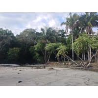 รูปถ่าย คอสตาริกา(Costa Rica) มานวยล์อันโตนีโอ(Manuel Antonio) 2015-03 94