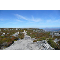 รูปถ่าย แอฟริกาใต้(South Africa) เคปทาวน์(Cape Town) ภูเขาเทเบิล(Table Mountain) 2008-09 31