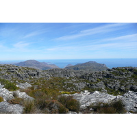 รูปถ่าย แอฟริกาใต้(South Africa) เคปทาวน์(Cape Town) ภูเขาเทเบิล(Table Mountain) 2008-09 82