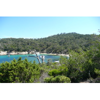 รูปถ่าย ฝรั่งเศส(France) เกาะปอร์เกอรอล(Porquerolles Island) หาดอาลีกัสตร์(Alycastre beach) 2008-05 6