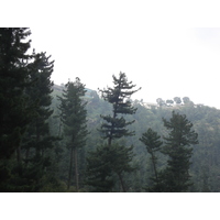 รูปถ่าย ปากีสถาน(Pakistan) มืร์รี(Murree) 2006-08 41