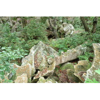รูปถ่าย เซเชลส์(Seychelles) เกาะลาดีก(La Digue) 2011-10 109