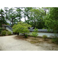 รูปถ่าย ญี่ปุ่น(Japan) เกียวโต(Kyoto) วัดนินนะจิ(Ninna ji Temple) 2010-06 37