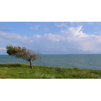 รูปถ่าย ฝรั่งเศส(France) เพรฟาย(Prefailles) จากเปรฟายไปท่าเรือเมอเลอ(Prefailles to Port Meuleu) 2007-07 28