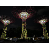 รูปถ่าย สิงคโปร์(Singapore) การ์เดนส์บายเดอะเบย์(Garden by the bay) 2023-01 12