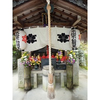 รูปถ่าย ญี่ปุ่น(Japan) เกียวโต(Kyoto) วัดนินนะจิ(Ninna ji Temple) 2010-06 59