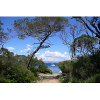 รูปถ่าย ฝรั่งเศส(France) เกาะปอร์เกอรอล(Porquerolles Island) หาดอาลีกัสตร์(Alycastre beach) 2008-05 19