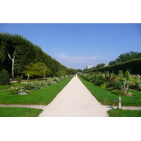 รูปถ่าย ฝรั่งเศส(France) ปารีส(Paris) สวนพันธ์ุพืช(Jardin des Plantes) 2007-08 111