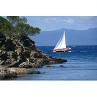 รูปถ่าย ฝรั่งเศส(France) เกาะปอร์เกอรอล(Porquerolles Island) หาดอาลีกัสตร์(Alycastre beach) 2008-05 10