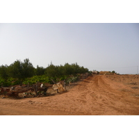 รูปถ่าย โมร็อกโก(Morocco) ถนนจากเฟสไปราบัต(Fes to Rabat Road) 2008-07 54