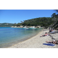 รูปถ่าย ฝรั่งเศส(France) เกาะปอร์เกอรอล(Porquerolles Island) หาดอาลีกัสตร์(Alycastre beach) 2008-05 9