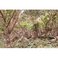 รูปถ่าย เซเชลส์(Seychelles) เกาะลาดีก(La Digue) 2011-10 122