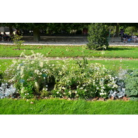 รูปถ่าย ฝรั่งเศส(France) ปารีส(Paris) สวนพันธ์ุพืช(Jardin des Plantes) 2007-08 157