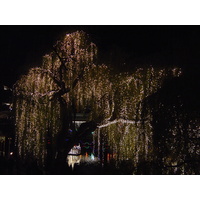รูปถ่าย เดนมาร์ก(Denmark) โคเปนเฮเกน(Copenhagen) สวนสาธารณะทิโวลี(Tivoli Park) 2004-11 20