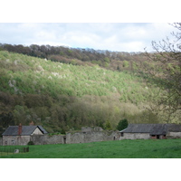 รูปถ่าย อังกฤษ(United Kingdom) ทินเทิร์น(Tintern) 2006-05 19