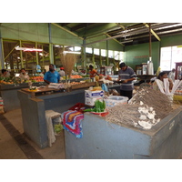 รูปถ่าย ฟิจิ(Fiji) นาดี(Nadi) 2010-05 80