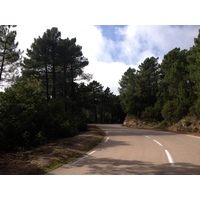 รูปถ่าย ฝรั่งเศส(France) คอร์สิคา(Corsica) ป่าลอสเปดาเล(L'ospedale Forest) 2012-09 65