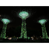 รูปถ่าย สิงคโปร์(Singapore) การ์เดนส์บายเดอะเบย์(Garden by the bay) 2023-01 22