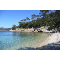รูปถ่าย ฝรั่งเศส(France) เกาะปอร์เกอรอล(Porquerolles Island) หาดอาลีกัสตร์(Alycastre beach) 2008-05 21