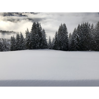 รูปถ่าย ฝรั่งเศส(France) ปรา-ซูร์-อาร์ลี(Praz sur Arly) 2019-12 190