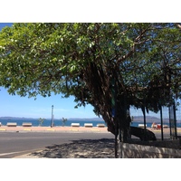 รูปถ่าย คอสตาริกา(Costa Rica) ปุนตาเรนัส(Puntarenas) 2015-03 16