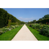 รูปถ่าย ฝรั่งเศส(France) ปารีส(Paris) สวนพันธ์ุพืช(Jardin des Plantes) 2007-08 206