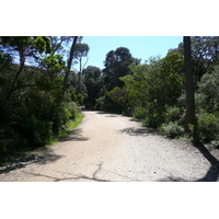 รูปถ่าย ฝรั่งเศส(France) เกาะปอร์เกอรอล(Porquerolles Island) แหลมเลอแก็ง(Pointe du Lequin) 2008-05 65