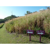 รูปถ่าย ฟิจิ(Fiji) อุทยานแห่งชาติเนินทรายซิงกาโตกา(Sigatoka sand dunes national park) 2010-05 27
