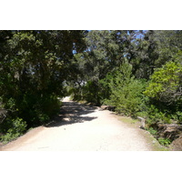 รูปถ่าย ฝรั่งเศส(France) เกาะปอร์เกอรอล(Porquerolles Island) แหลมเลอแก็ง(Pointe du Lequin) 2008-05 70